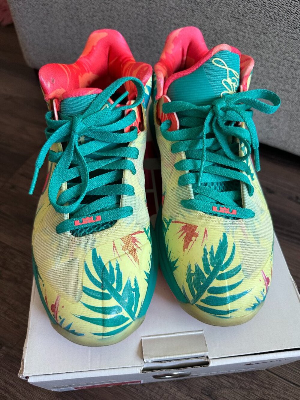 Nike Lebron 9 Low “Lebronald Palmer” 2022 - Size 8.5M/10W